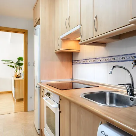 Apartment De Montana Y Esqui En El Pirineo Aragones, - Wifi *